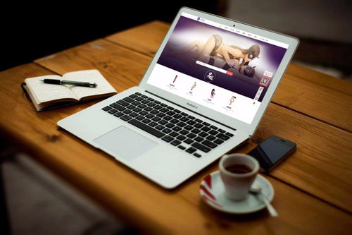 g點網(wǎng) 情趣商品在線體驗式平臺